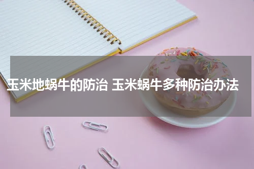 玉米地蜗牛的防治 玉米蜗牛多种防治办法
