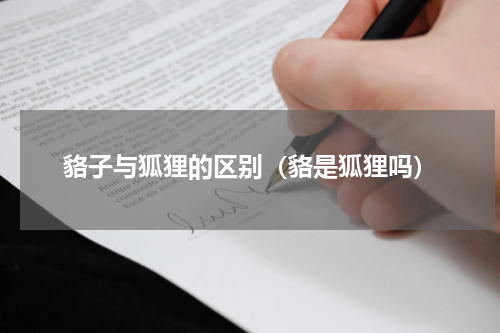 貉子与狐狸的区别（貉是狐狸吗）