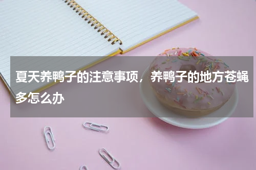 夏天养鸭子的注意事项，养鸭子的地方苍蝇多怎么办