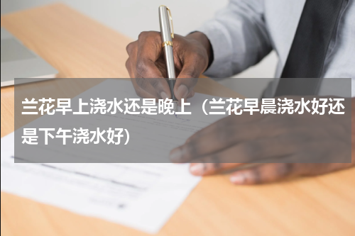 兰花早上浇水还是晚上（兰花早晨浇水好还是下午浇水好）