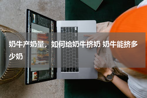 奶牛产奶量，如何给奶牛挤奶 奶牛能挤多少奶
