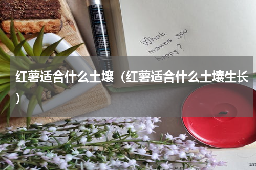 红薯适合什么土壤（红薯适合什么土壤生长）