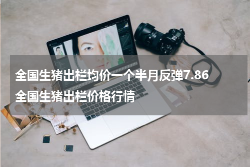全国生猪出栏均价一个半月反弹7.86 全国生猪出栏价格行情