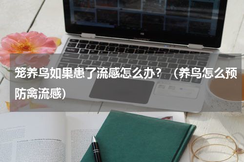 笼养鸟如果患了流感怎么办？（养鸟怎么预防禽流感）