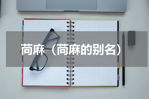 苘麻（苘麻的别名）