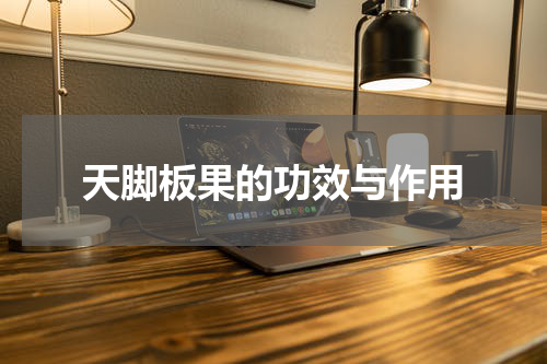天脚板果的功效与作用