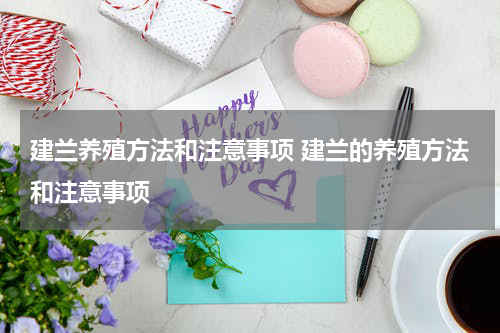 建兰养殖方法和注意事项 建兰的养殖方法和注意事项