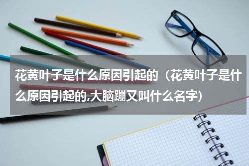 花黄叶子是什么原因引起的（花黄叶子是什么原因引起的,大脑蹦又叫什么名字）