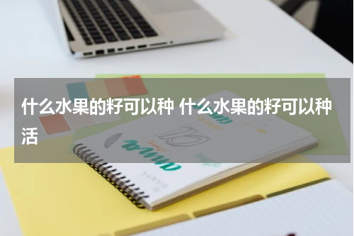 什么水果的籽可以种 什么水果的籽可以种活