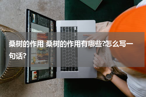 桑树的作用 桑树的作用有哪些?怎么写一句话?