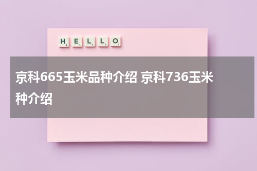 京科665玉米品种介绍 京科736玉米种介绍