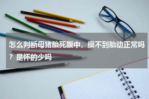 怎么判断母猪胎死腹中，摸不到胎动正常吗？是怀的少吗