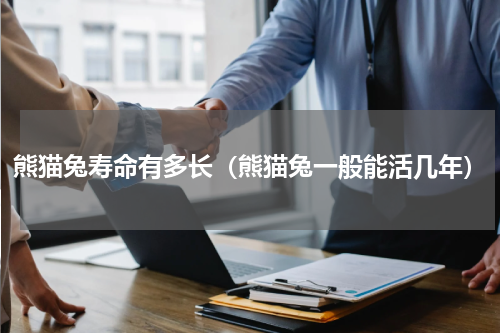 熊猫兔寿命有多长（熊猫兔一般能活几年）