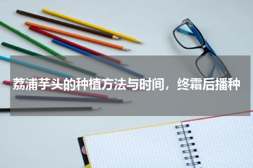 荔浦芋头的种植方法与时间，终霜后播种