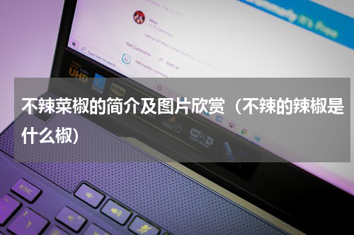 不辣菜椒的简介及图片欣赏（不辣的辣椒是什么椒）