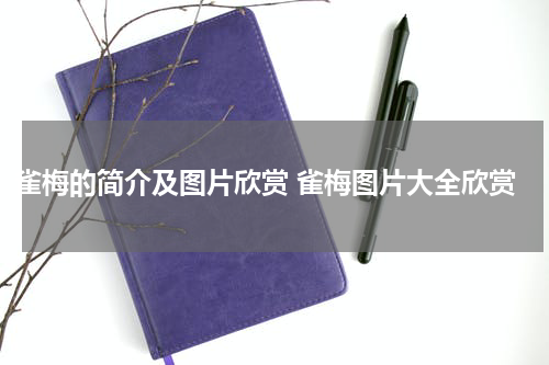 雀梅的简介及图片欣赏 雀梅图片大全欣赏