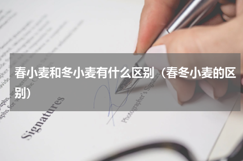 春小麦和冬小麦有什么区别（春冬小麦的区别）