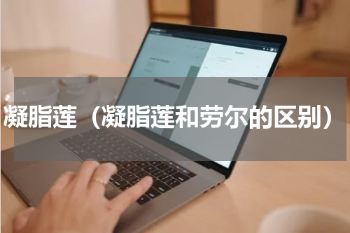 凝脂莲（凝脂莲和劳尔的区别）