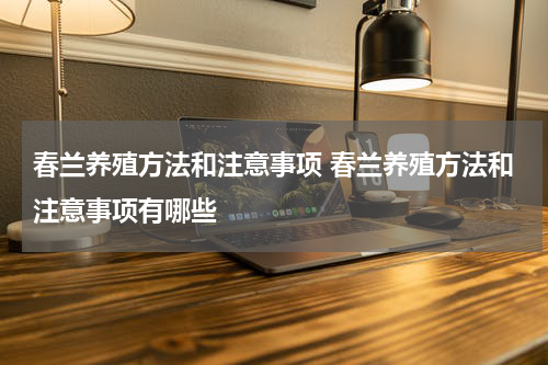 春兰养殖方法和注意事项 春兰养殖方法和注意事项有哪些
