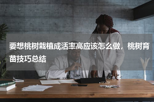 要想桃树栽植成活率高应该怎么做，桃树育苗技巧总结