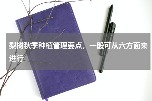 梨树秋季种植管理要点，一般可从六方面来进行