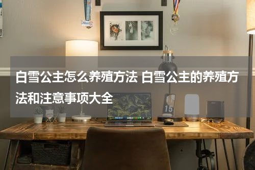 白雪公主怎么养殖方法 白雪公主的养殖方法和注意事项大全