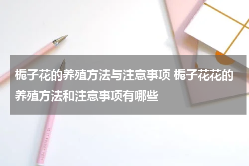 栀子花的养殖方法与注意事项 栀子花花的养殖方法和注意事项有哪些