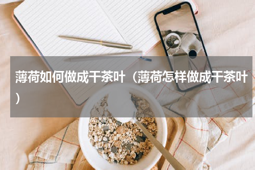 薄荷如何做成干茶叶（薄荷怎样做成干茶叶）