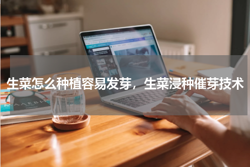 生菜怎么种植容易发芽，生菜浸种催芽技术