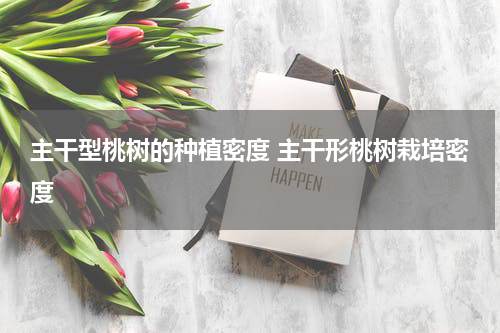 主干型桃树的种植密度 主干形桃树栽培密度