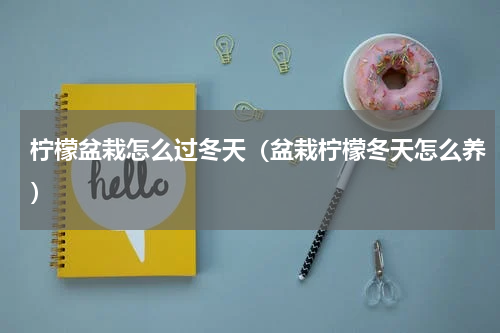 柠檬盆栽怎么过冬天（盆栽柠檬冬天怎么养）
