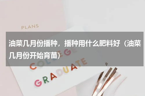 油菜几月份播种，播种用什么肥料好（油菜几月份开始育苗）