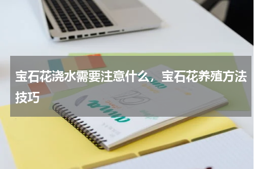 宝石花浇水需要注意什么，宝石花养殖方法技巧