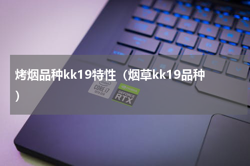 烤烟品种kk19特性（烟草kk19品种）