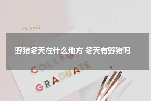 野猪冬天在什么地方 冬天有野猪吗