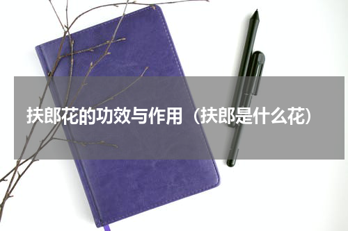 扶郎花的功效与作用（扶郎是什么花）