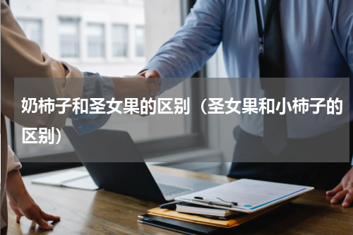 奶柿子和圣女果的区别（圣女果和小柿子的区别）
