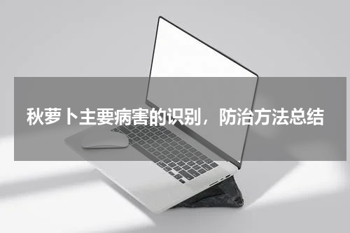 秋萝卜主要病害的识别，防治方法总结