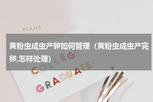 黄粉虫成虫产卵如何管理（黄粉虫成虫产完卵,怎样处理）