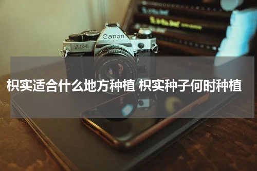 枳实适合什么地方种植 枳实种子何时种植