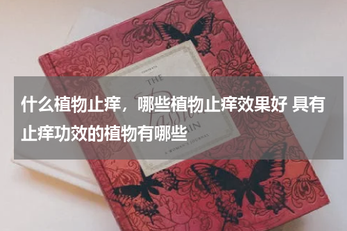 什么植物止痒，哪些植物止痒效果好 具有止痒功效的植物有哪些