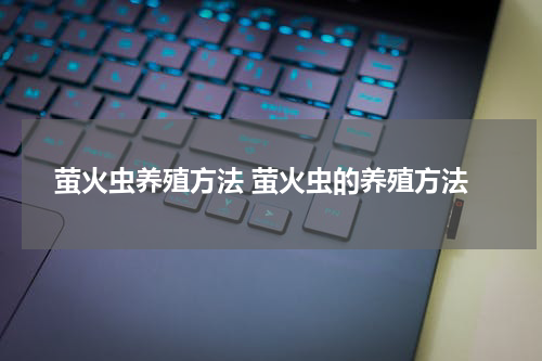 萤火虫养殖方法 萤火虫的养殖方法