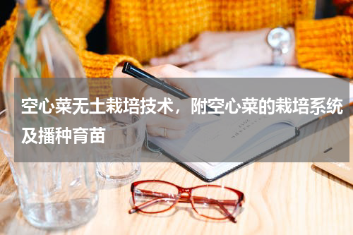 空心菜无土栽培技术，附空心菜的栽培系统及播种育苗