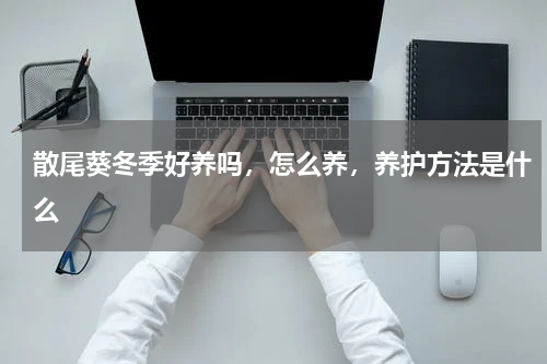散尾葵冬季好养吗，怎么养，养护方法是什么