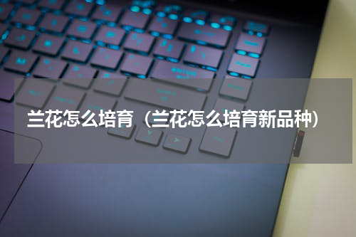 兰花怎么培育（兰花怎么培育新品种）