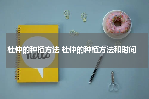 杜仲的种植方法 杜仲的种植方法和时间