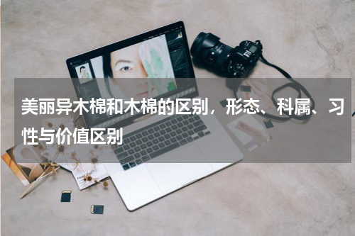 美丽异木棉和木棉的区别，形态、科属、习性与价值区别