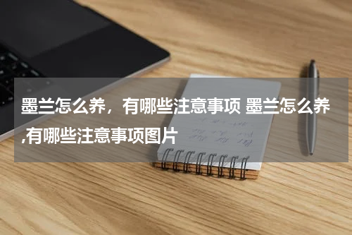 墨兰怎么养，有哪些注意事项 墨兰怎么养,有哪些注意事项图片