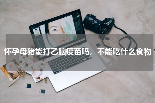 怀孕母猪能打乙脑疫苗吗，不能吃什么食物