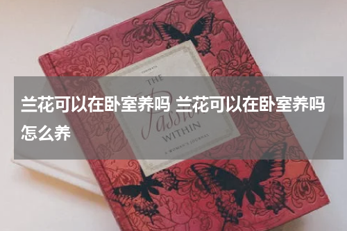兰花可以在卧室养吗 兰花可以在卧室养吗怎么养